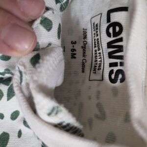 Lewis Kids Organic Cotton Boxer Briefs - Green